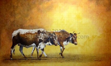 Africa's Painted Cattle 2
