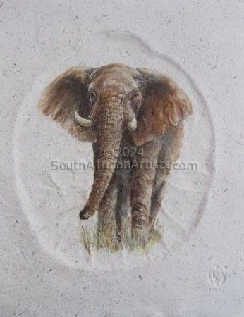 Life Size Footprint & Elephant 2