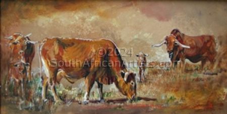 Afrikaner Cattle