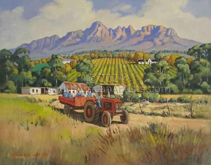 Farm Scene Near Stellenbosch