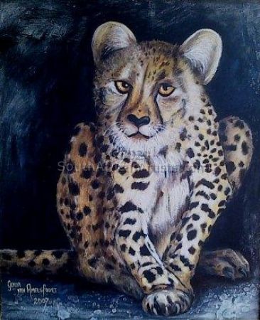 Cheetah Crouching