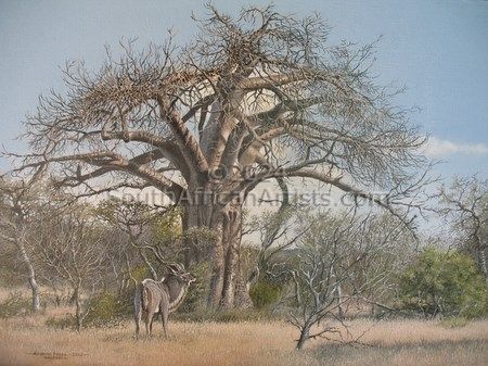 Nwanedi Baobab