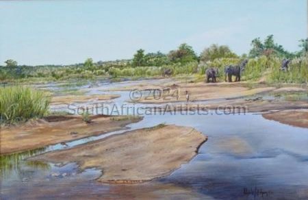 Elephants on Lower Sabie River. KNP