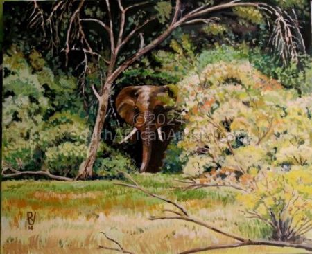 Elephant in Riverine Forest