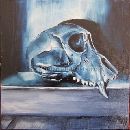 Juvenile Baboon Skull 25
