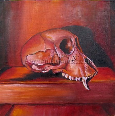 Juvenile Baboon Skull 26