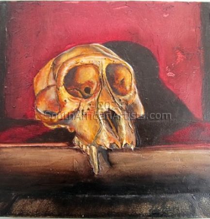 Juvenile Baboon Skull 28