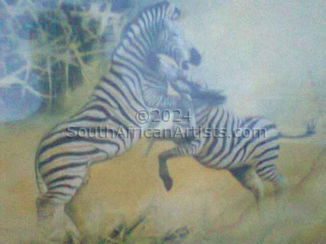 Zebra Battle for Grazing Land