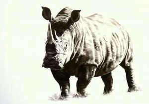 "Rhino 1"