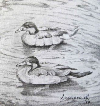 "Miniature-Pair of Ducks"