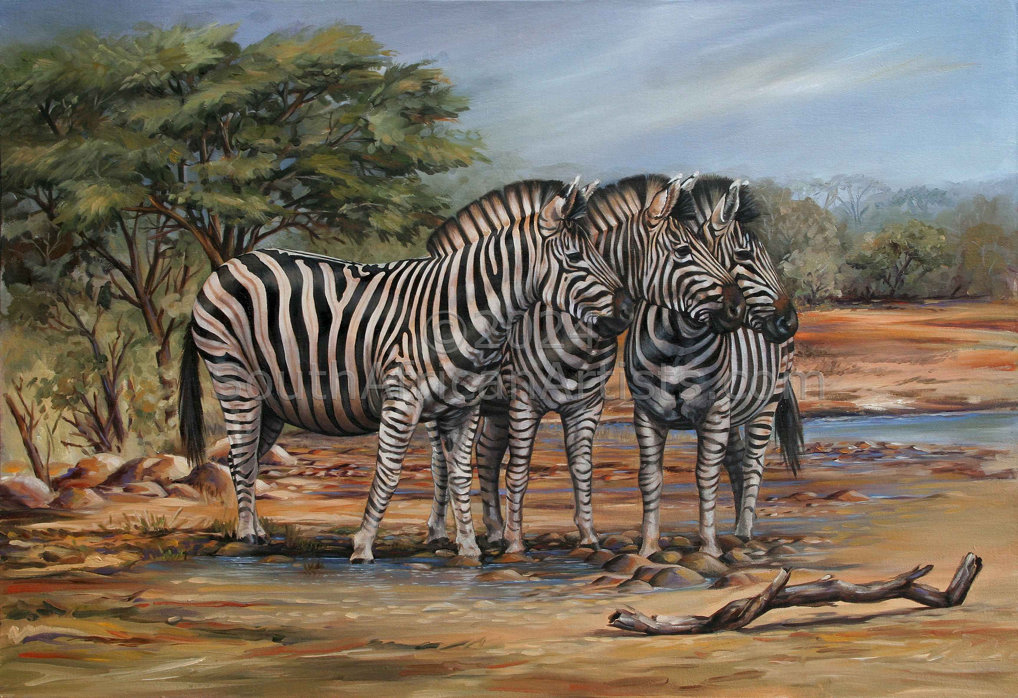 Zebras At The Water Hole