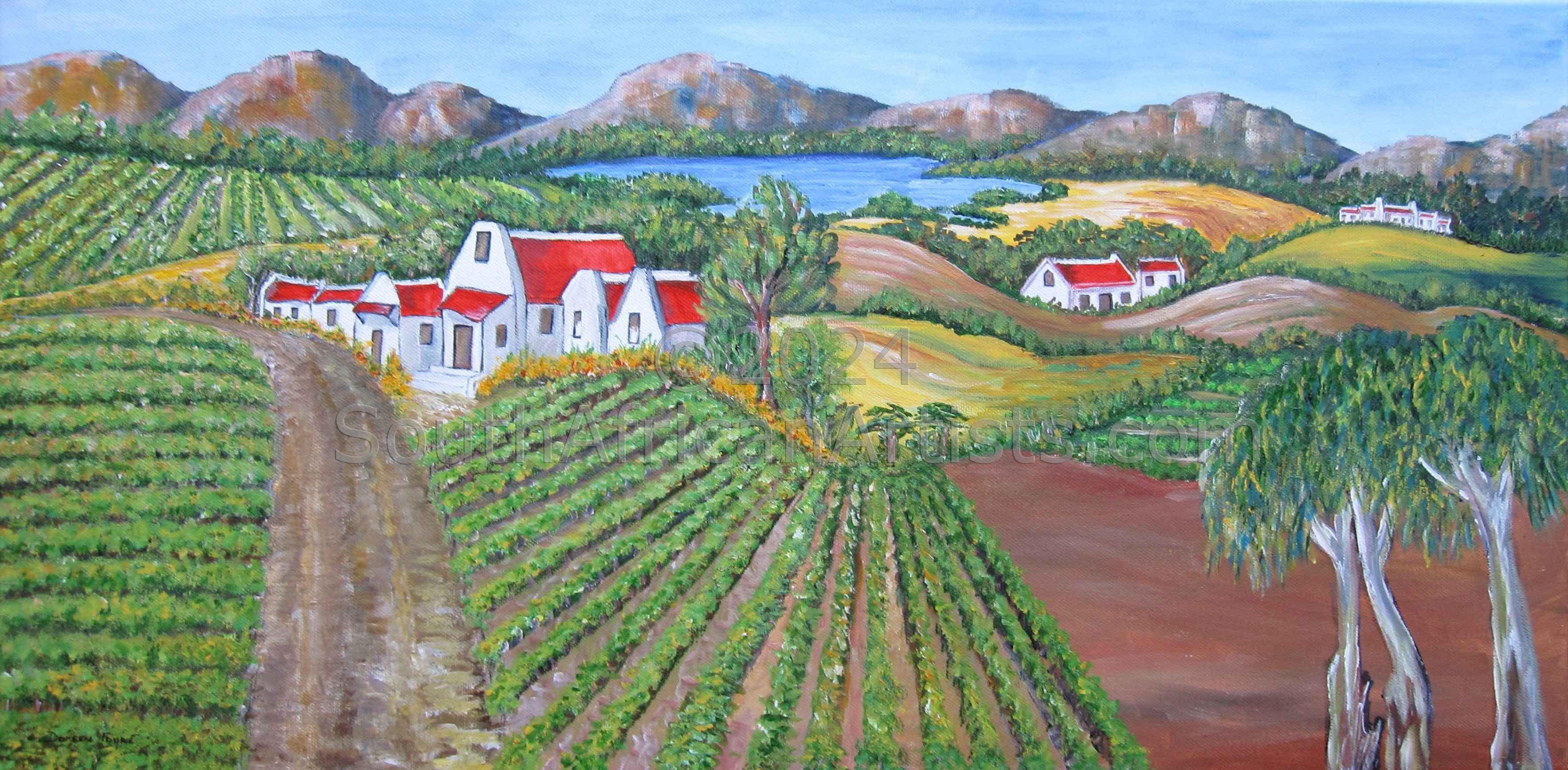 Vineyards in the Boland