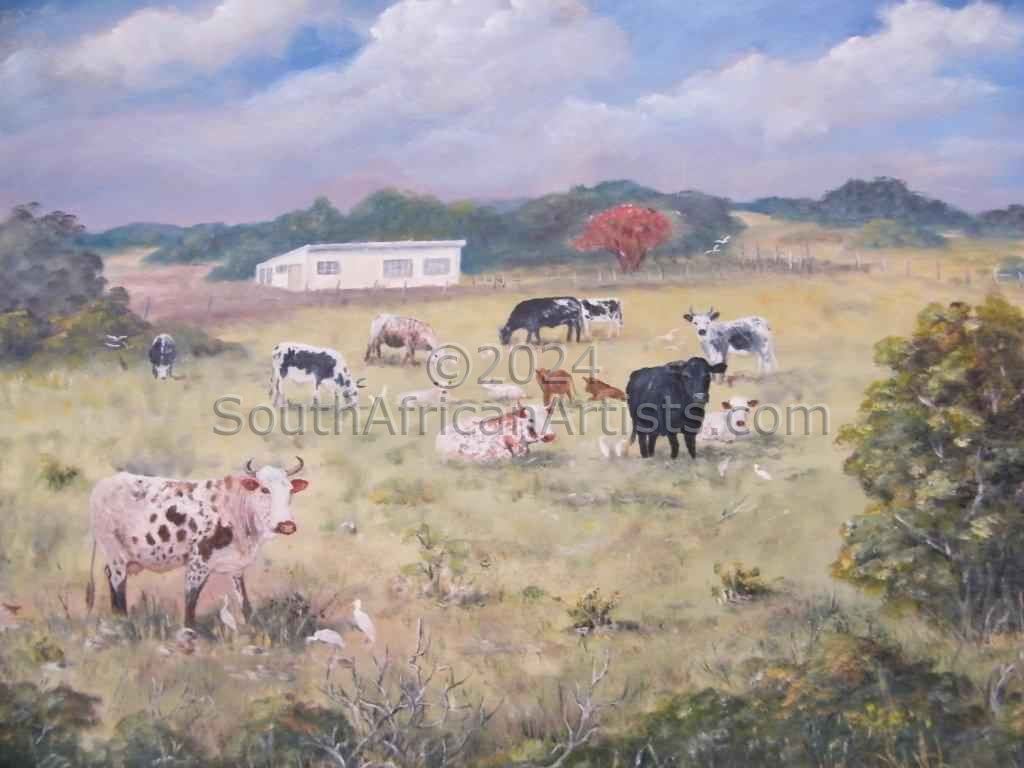 Nguni cattle at P.A. Eastern Cape