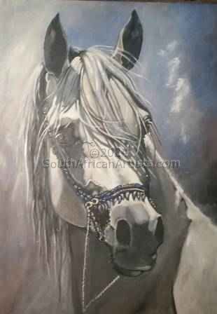 Horse Omar Saalim