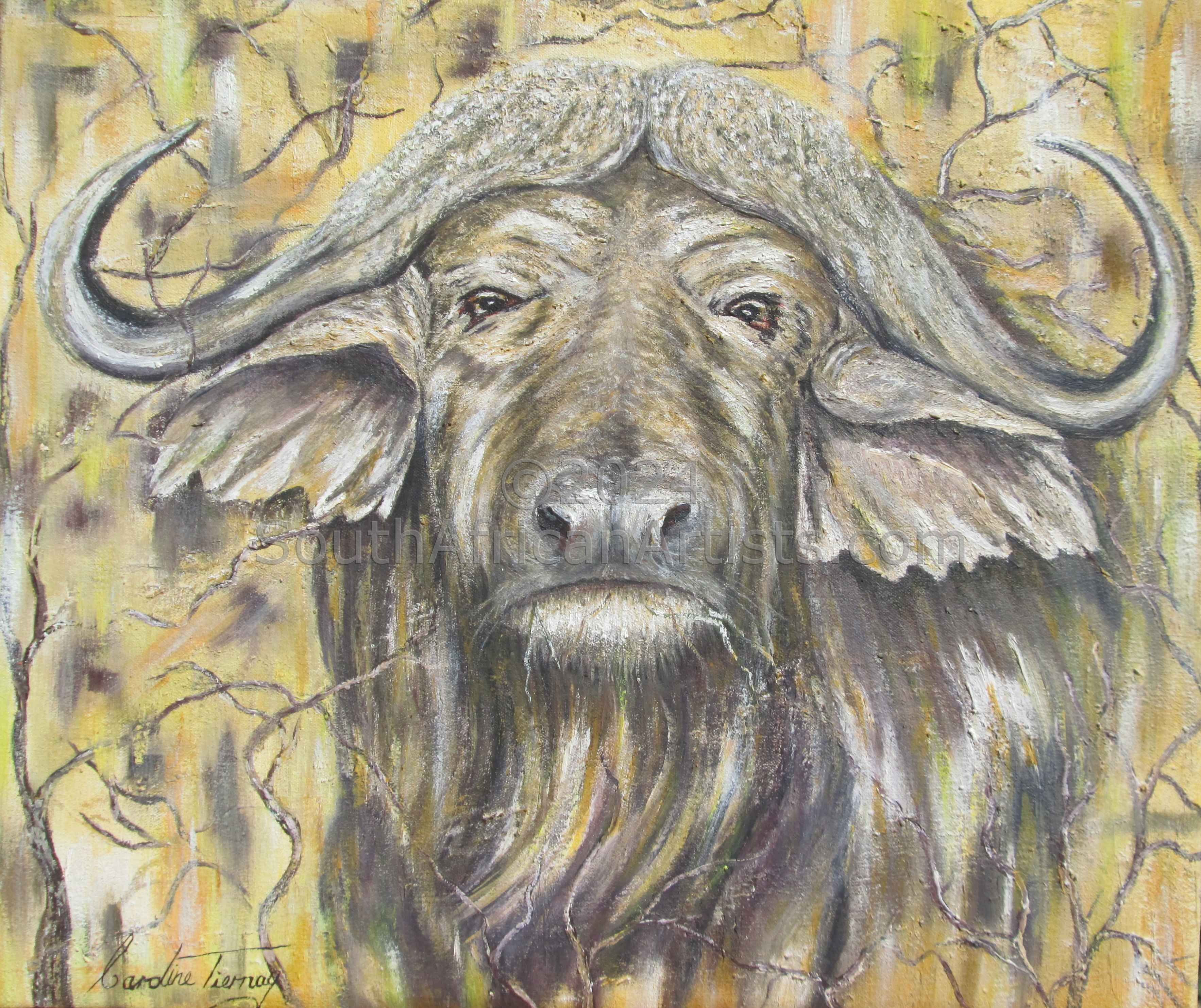 African Buffalo Grumpy. Print