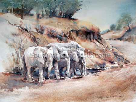 Riverbed Elephants 
