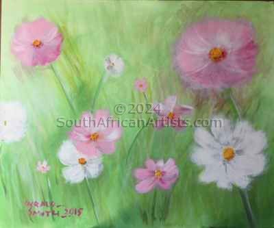 Pink and White Cosmos Flowers
