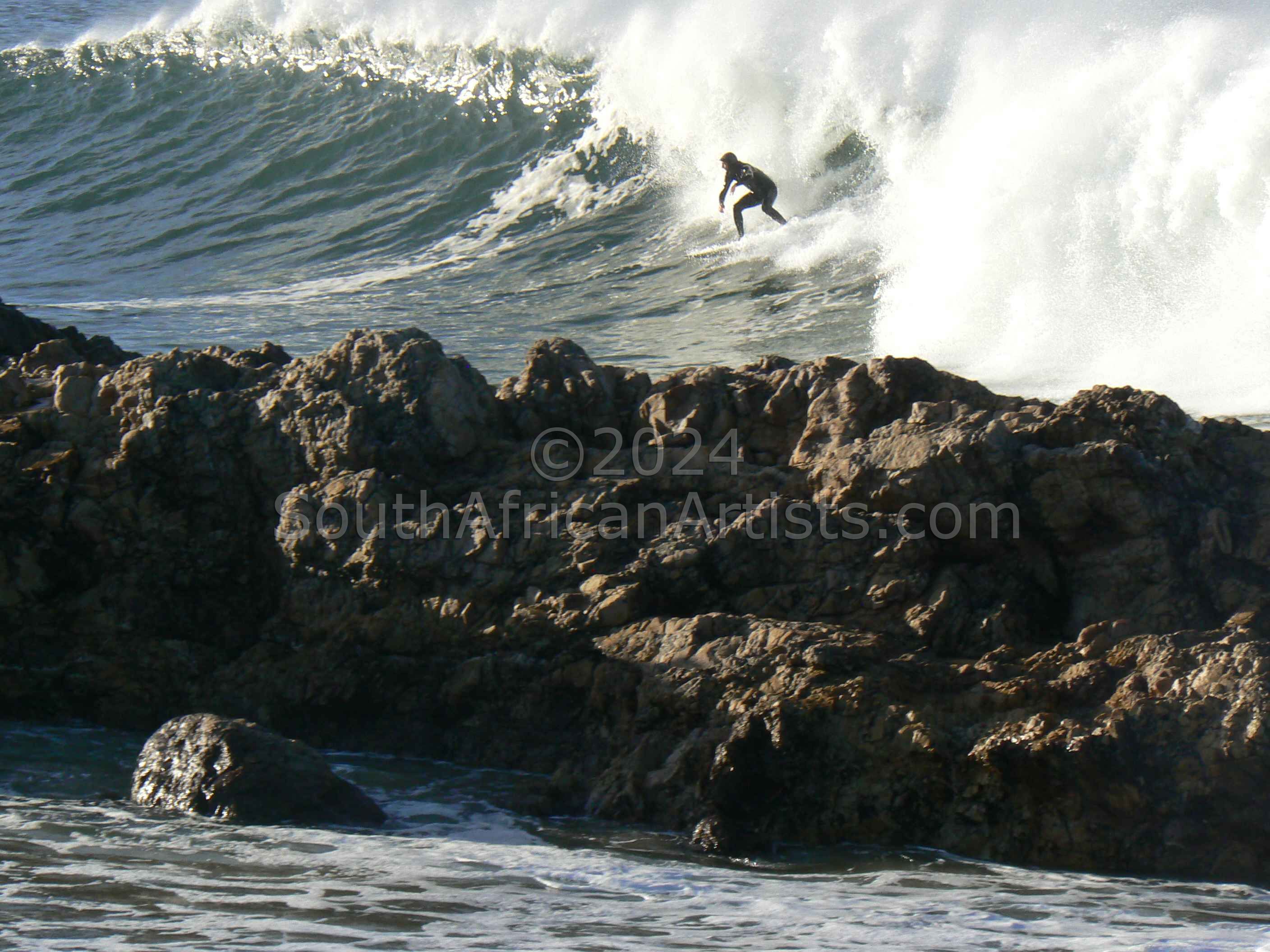Surfer Shark Rock