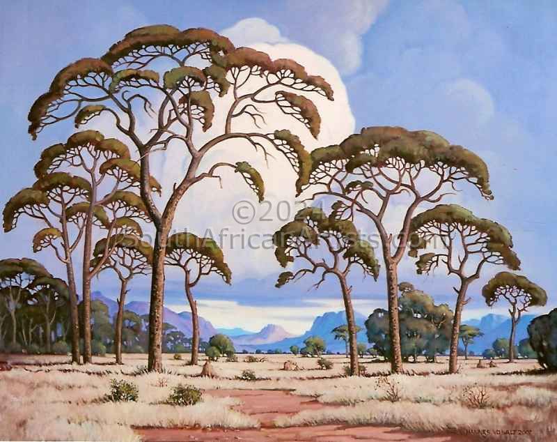Bushveld with Cloudy Skies (Pierneef Style)