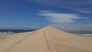 "Sand Dune"