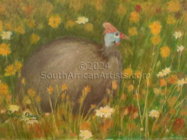 Guineafowl Surrounded by Colourful Daisies