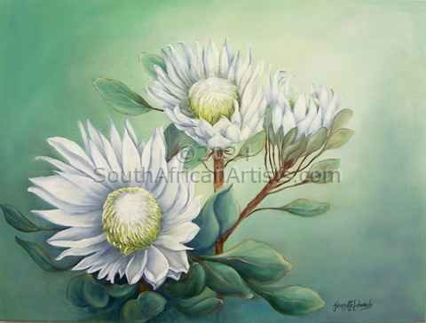 King White Protea