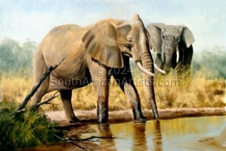 Addo Elephants