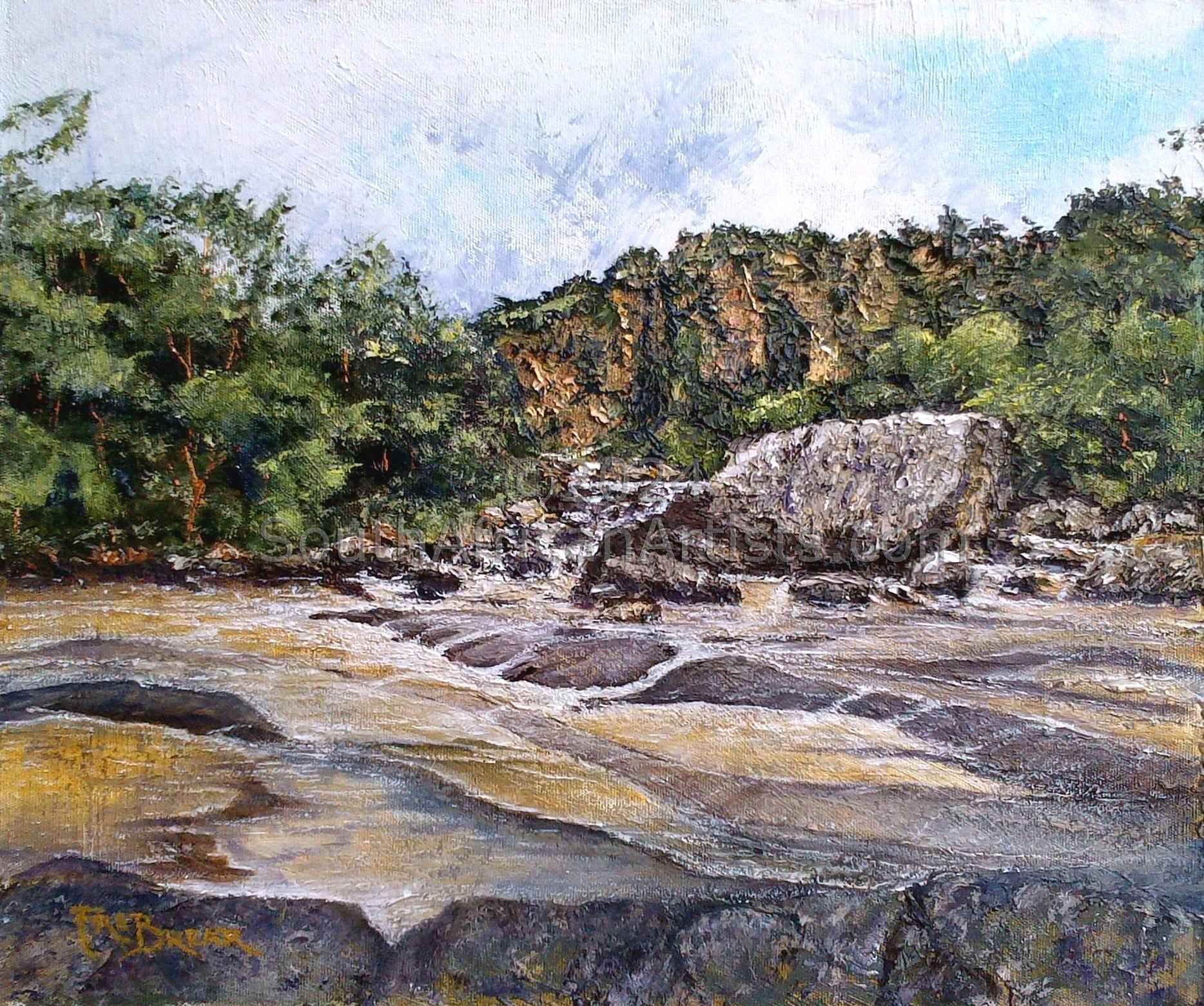  The River, below Hoepoe Falls