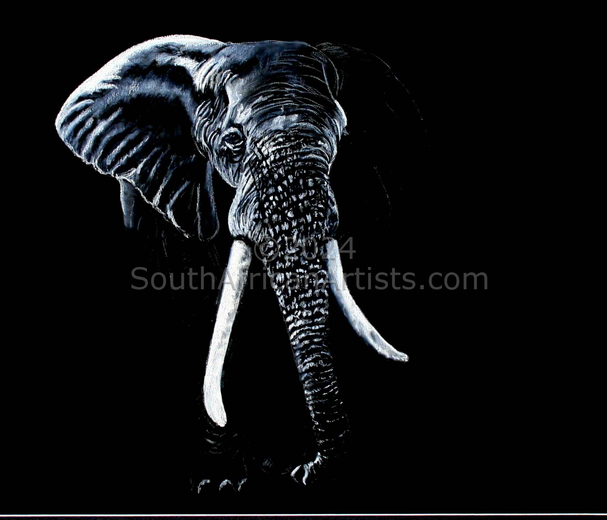 Elephant in Black and White 