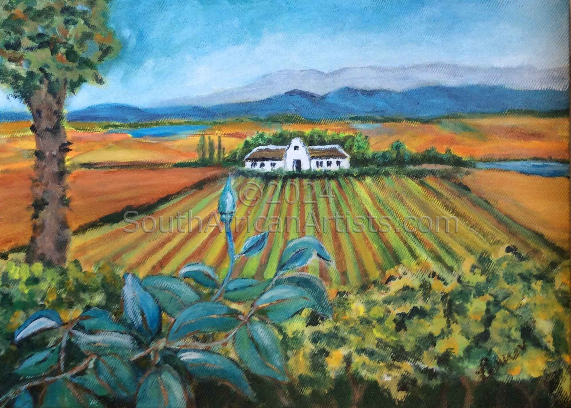 Wine Farm in Montague