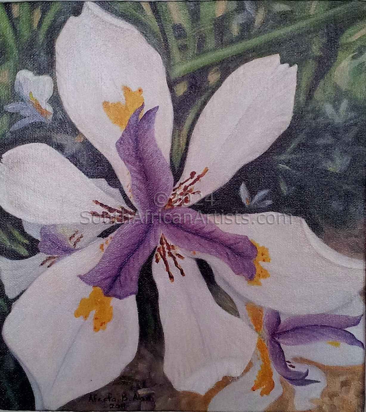 Kempton Irises