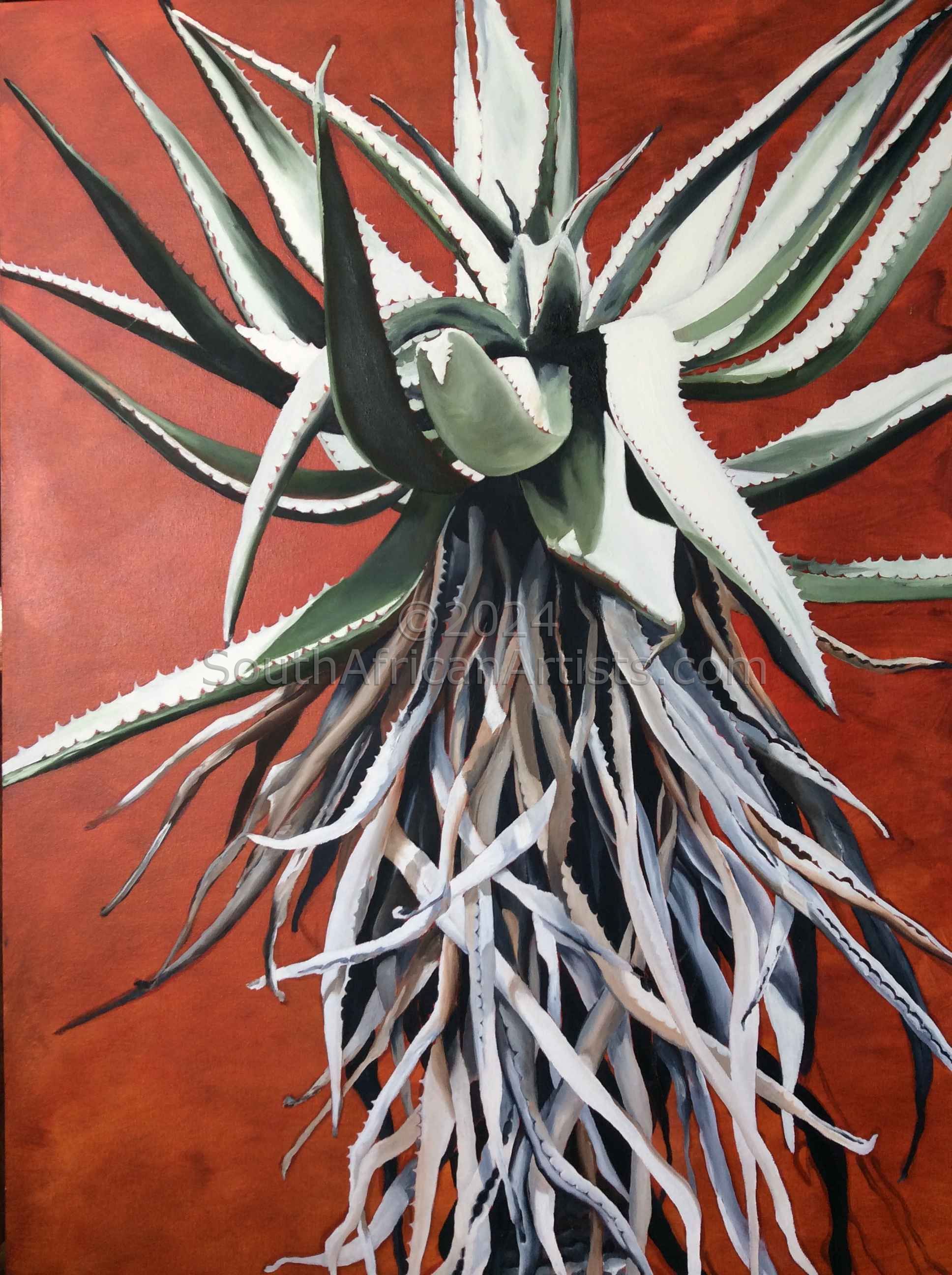 Magaliesberg Aloe on Sienna