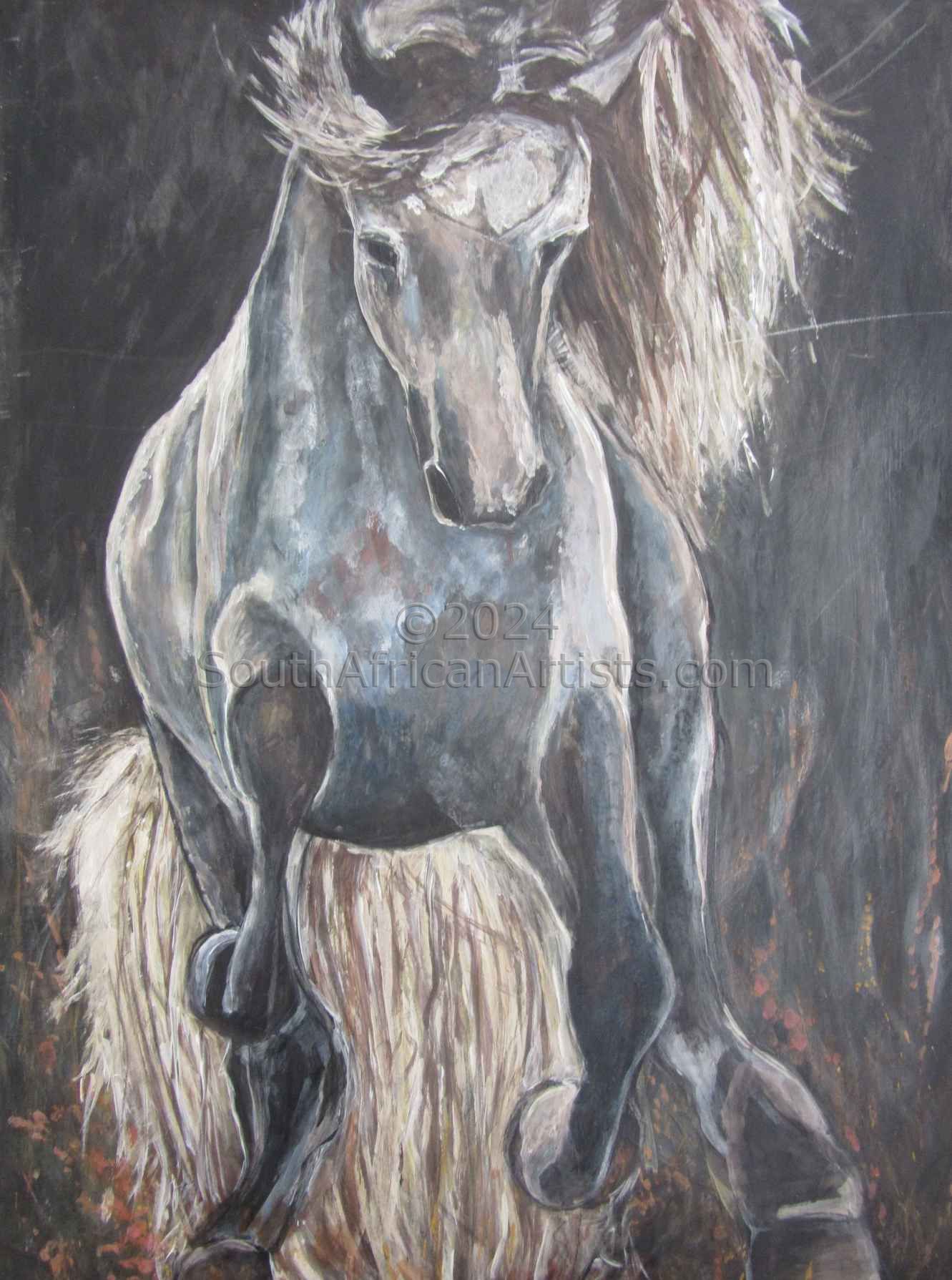 Horse 1