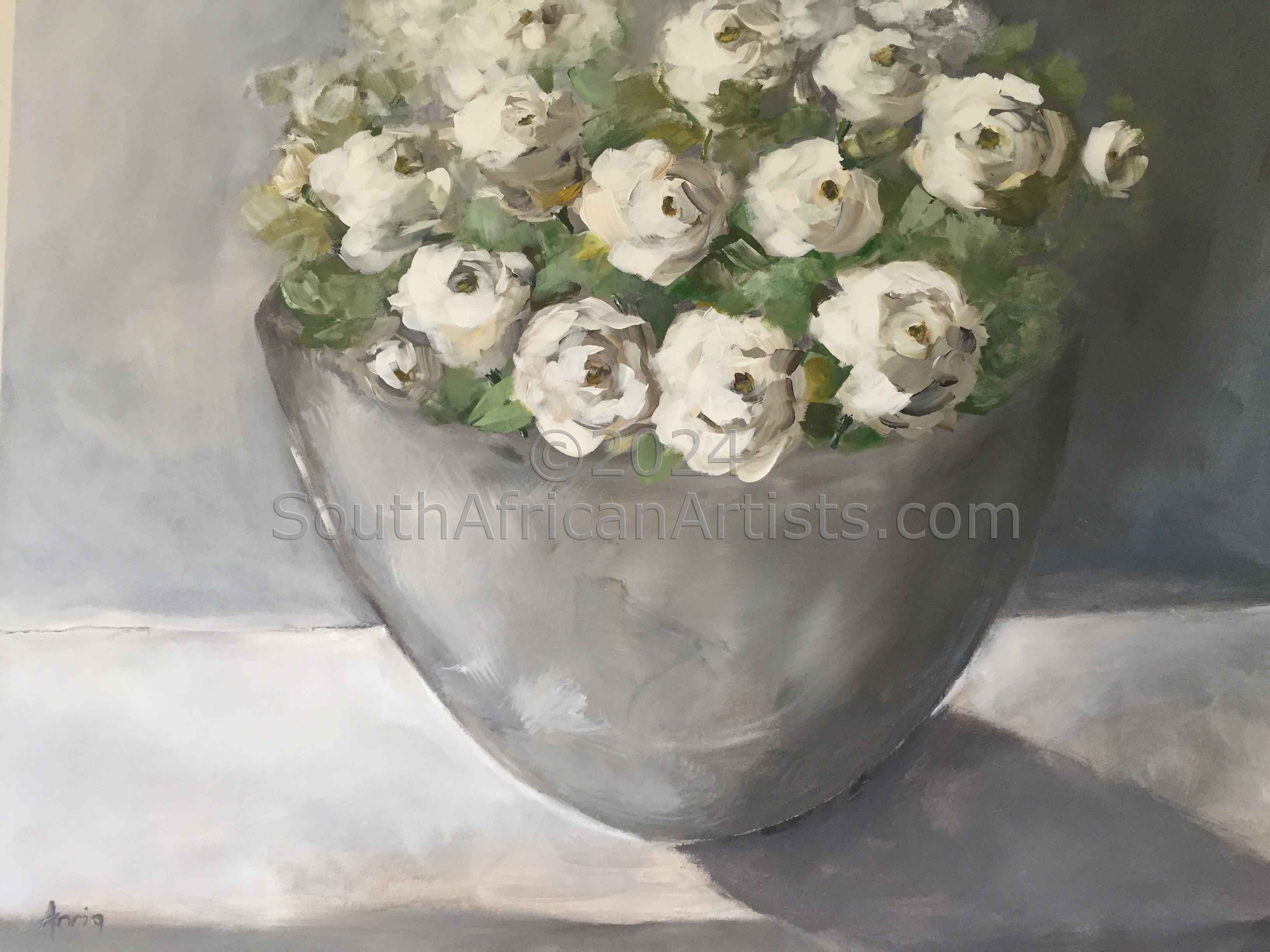 White Roses 