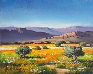 "Namaqua Landscape with Clear Sky"