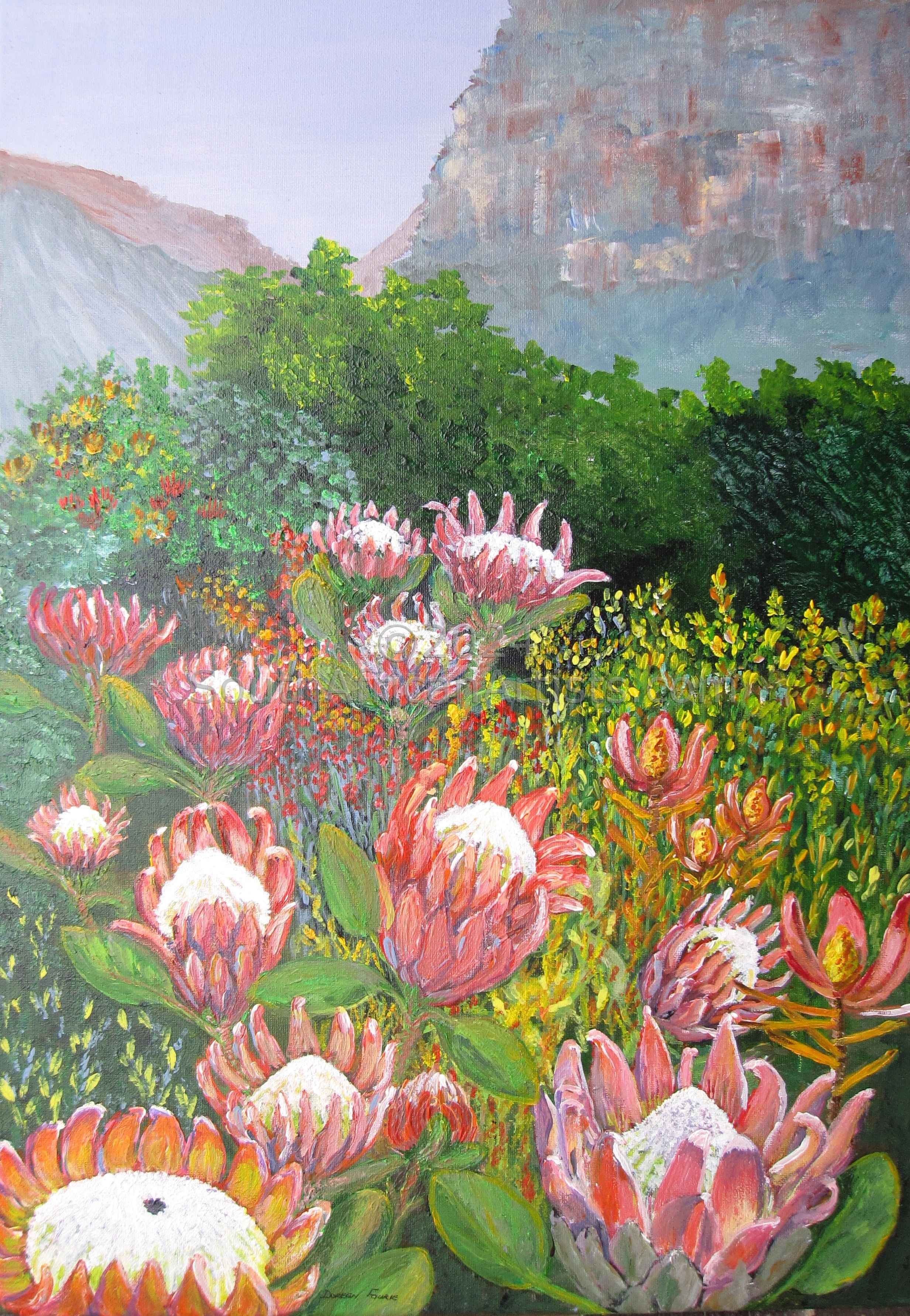 Gaint Proteas in a Field of Fynbos