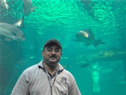 Ashwin  Ramhith