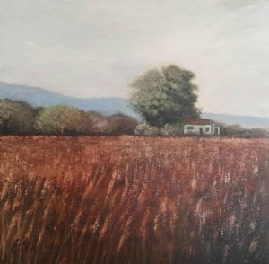 "North West Fields"
