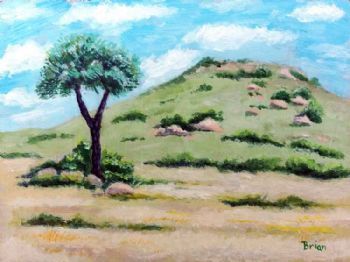 "Landscape with Cabbage Tree"