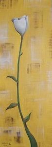 "Tulip"