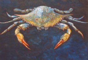 "Blue Crab"
