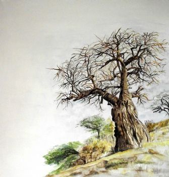 "Pafuri Baobab"