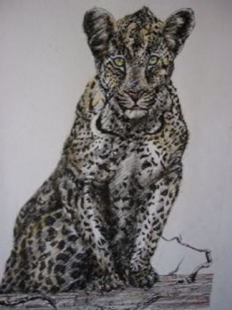 "Tinted leopard II"
