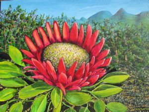 "Protea"