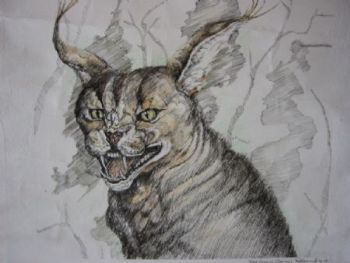 "Tinted Caracal (Rooikat)"