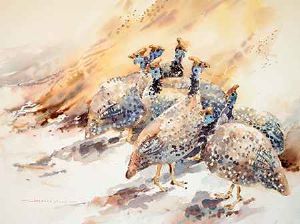 "Guineafowl 7 "