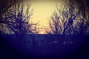 "Sunrise"