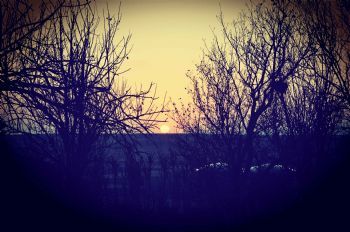 "Sunrise"