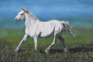 "White Horse in Grass Field"