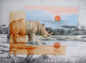 "Sunset for the Rhino "